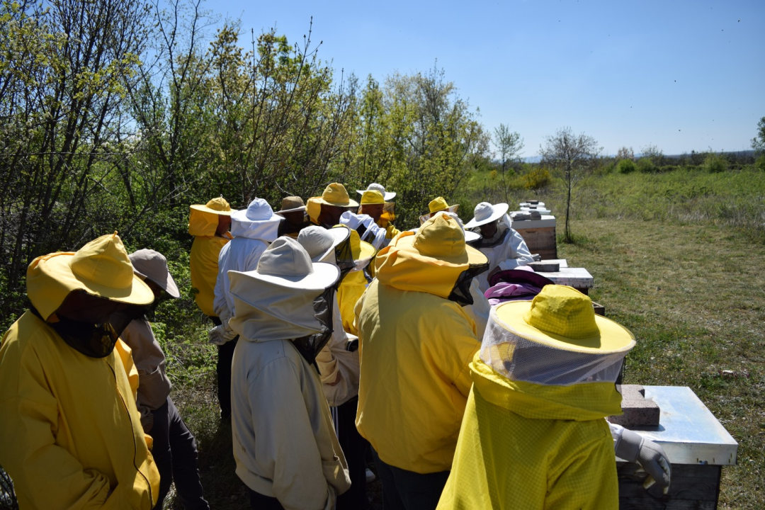 Pčelari s područja rijeke Krke usavršavali svoja znanja