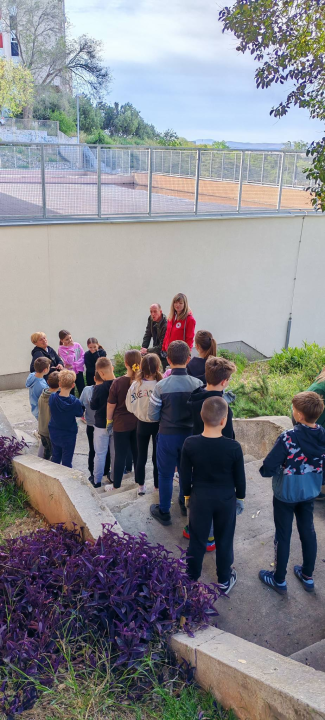 Učenici OŠ Jurja Šižgorića u školskom dvorištu sadili biljke
