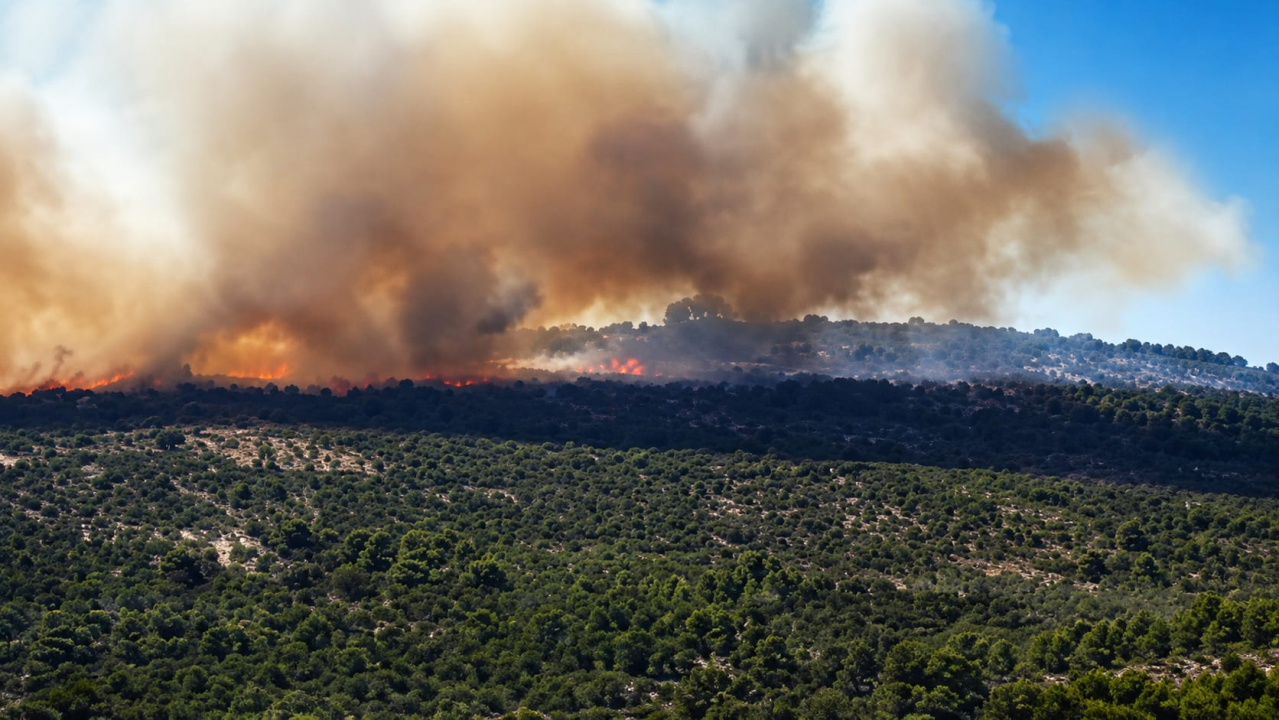 Požar kod Primoštena Burnjeg: Na terenu 30 vatrogasaca, pomažu i zračne snage