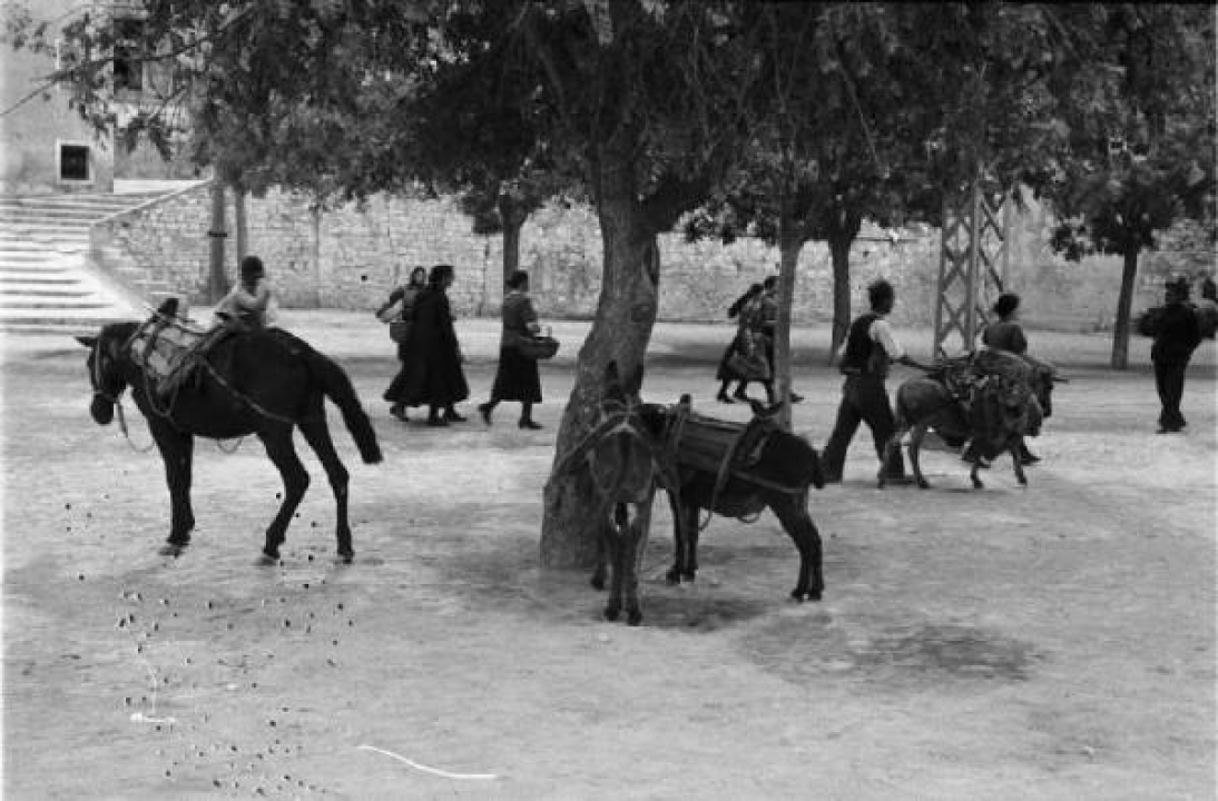 Otkriveno fotografsko blago: Pogledajte fascinante prizore života Šibenčana burne 1941. godine