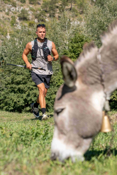 Kad Knin postane velika outdoor pozornica: uspješno završio Dalmatia Šibenik Outdoor Festival!