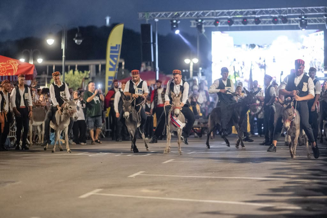 59. Tribunjske magareće trke