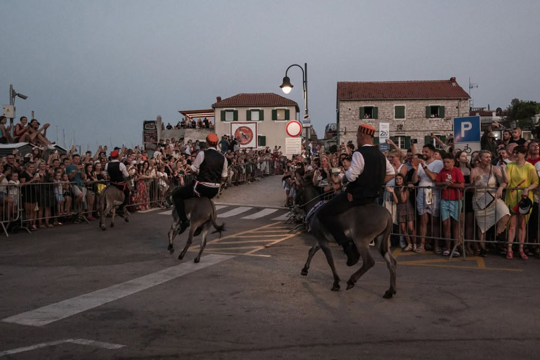 59. Tribunjske magareće trke