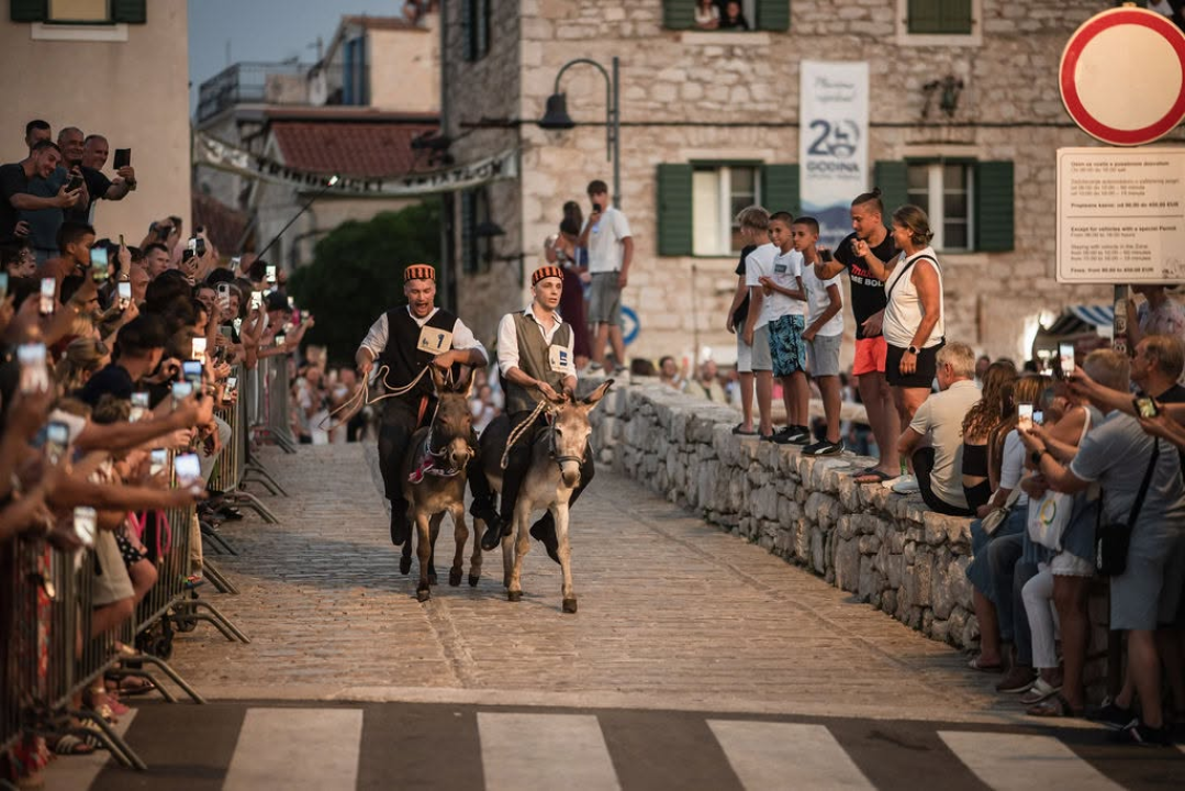 59. Tribunjske magareće trke