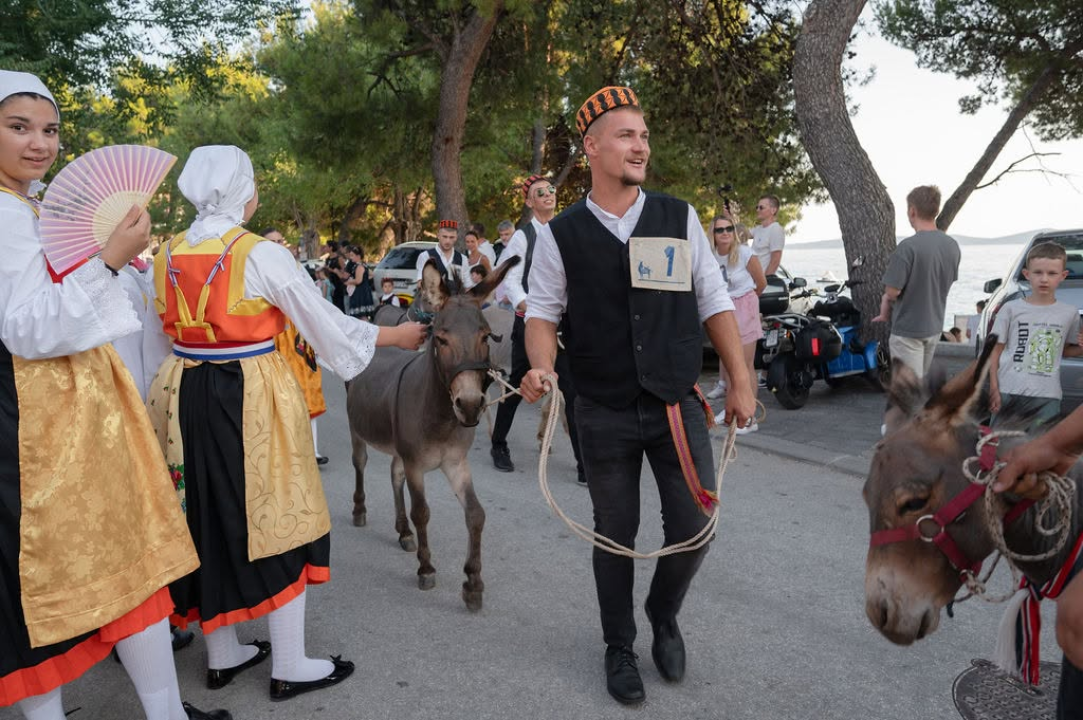59. Tribunjske magareće trke