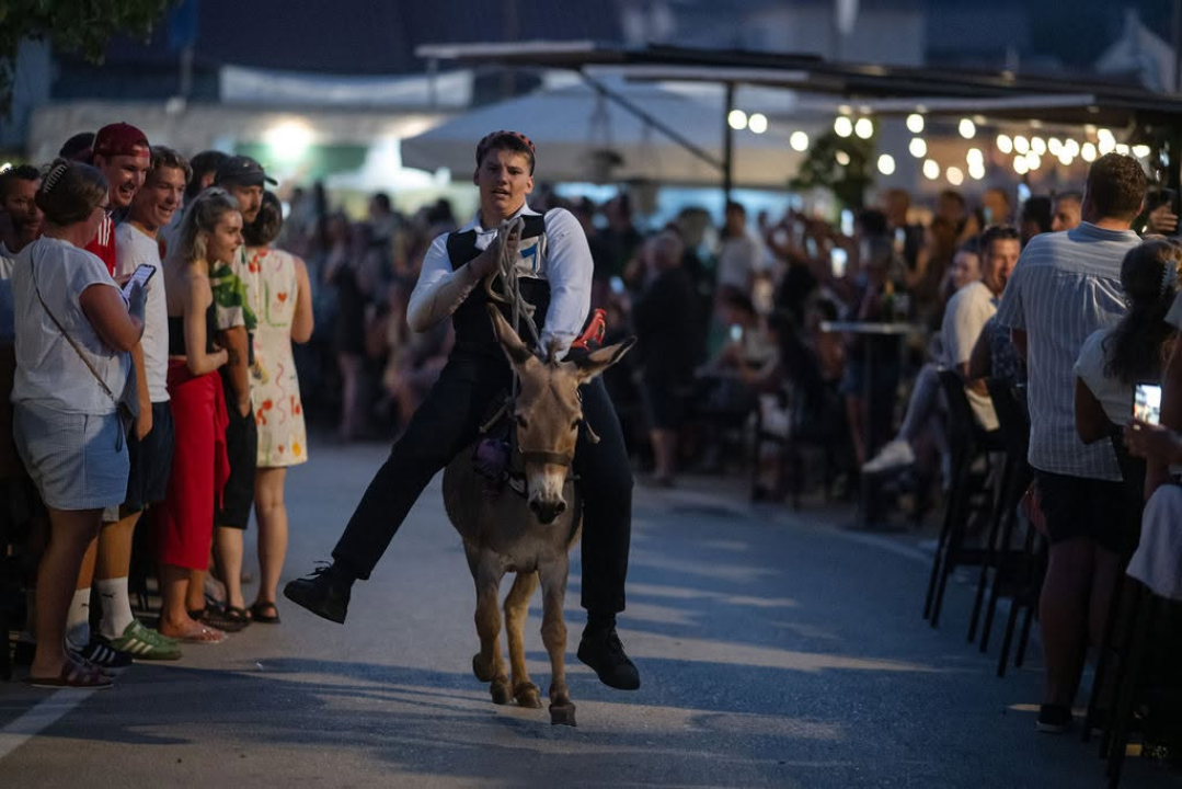 59. Tribunjske magareće trke