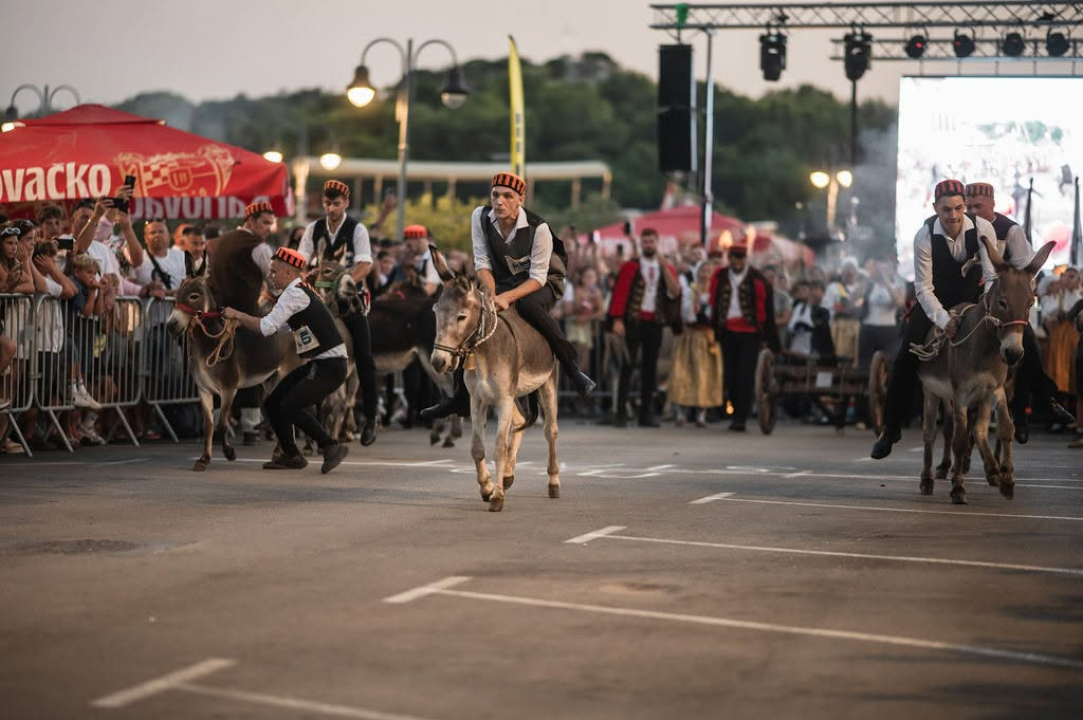 59. Tribunjske magareće trke