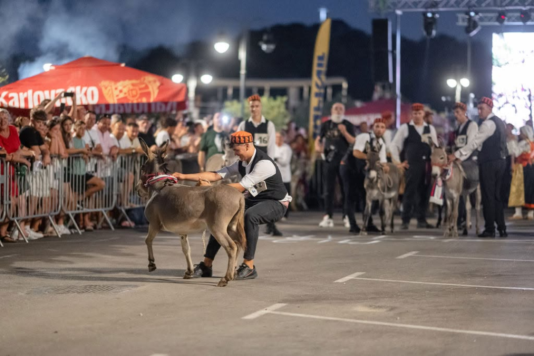 59. Tribunjske magareće trke