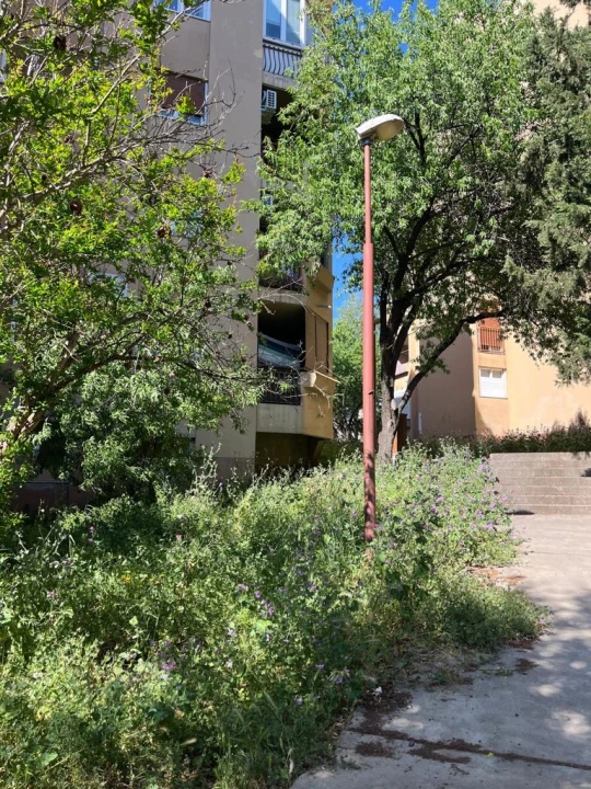 Vidici zarasli, trava do pasa: Kosilice izašle na teren kod 'Lepe Brene' 
