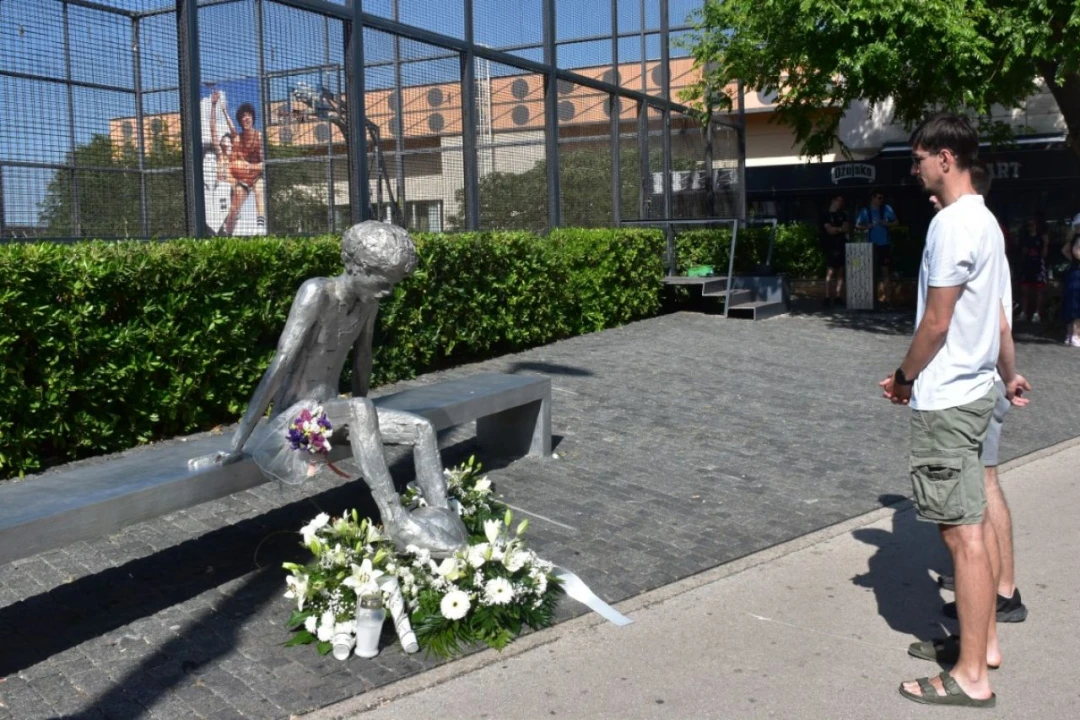 Župan Rakić položio cvijeće kod spomenika Draženu Petroviću i Draženovog koša
