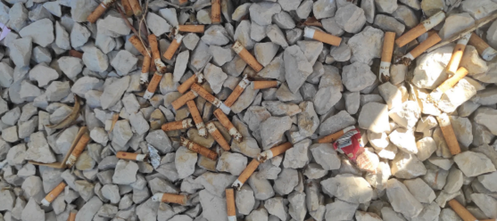 FOTO Fekalije po zidu, zaštopani zahodi, tamponi u okvirima, razbacano smeće – s tim se na Rezalištu svakodnevno bore djelatnici Zelenog grada