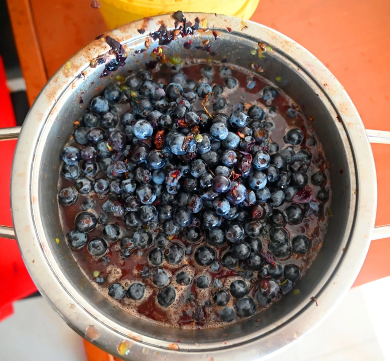 Priča o ćukteru:  Jeste li znali da su šibenski težaci od ciđe radili slatku deliciju?