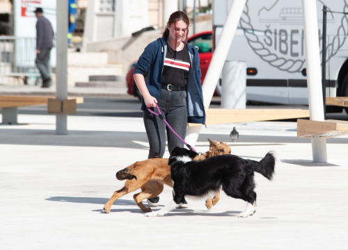 Fotografija 17 - FOTO Đir po gradu, srijeda 17. ožujka