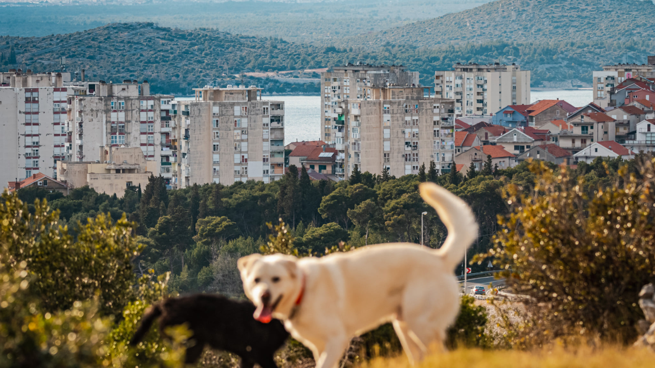 Gotovo je s marčanim burama: Stiže pravo proljeće, a još koji dan pa idemo na ljetno računanje vremena