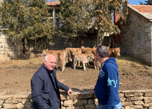 Fotografija 5 - Župan obišao poljoprivrednike na području Kistanja i Đevrsaka: 'Udvostručili smo poticaje u poljoprivredi'