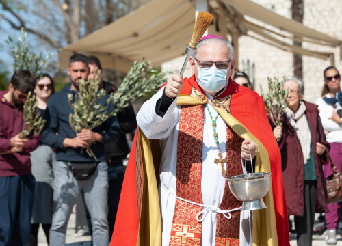 Fotografija 3 - Procesijom, misom i blagoslovom maslinovih grančica Šibenčani proslavili Cvjetnicu