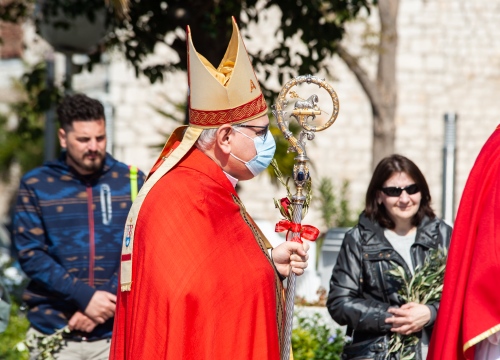 Fotografija 23 - Procesijom, misom i blagoslovom maslinovih grančica Šibenčani proslavili Cvjetnicu