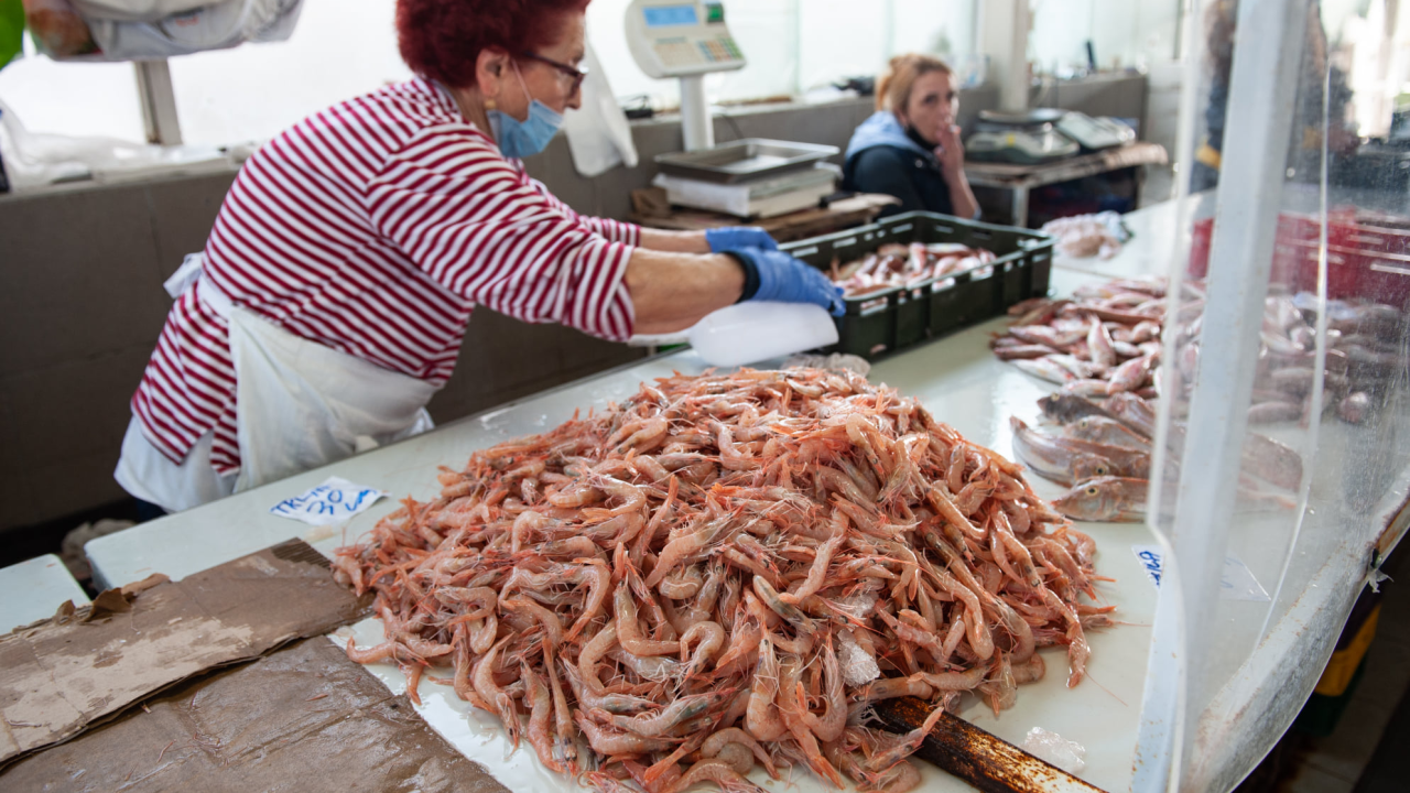 Đir po ribarnici na Veliki petak: 'Uvik je na današnji dan bila gužva, čekalo se u redu za uć po dobru ribu, a vidi sad, ništa'