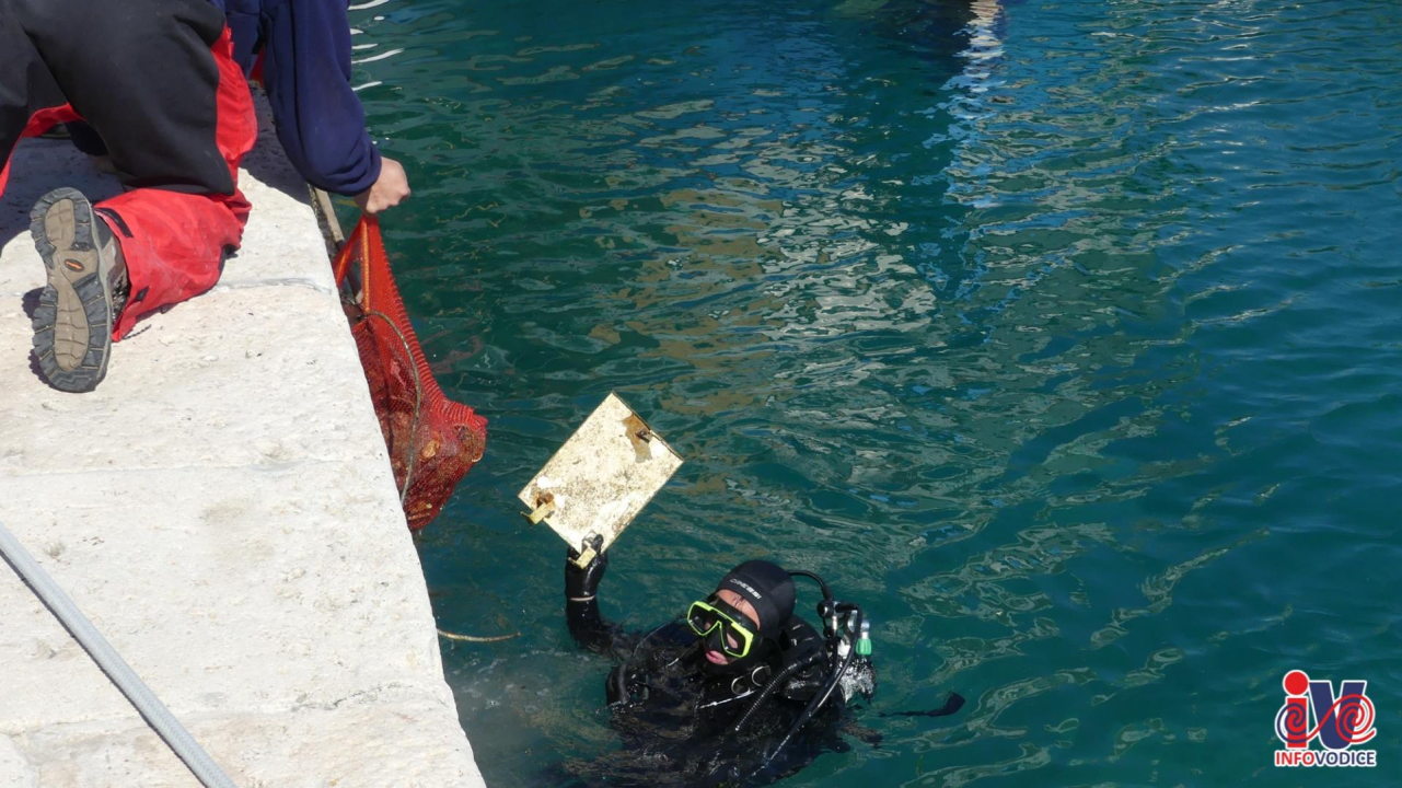 Ronioci iz tri županije iz mora kod vodičke rive izronili puna dva kontejnera smeća!