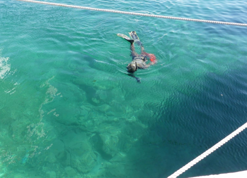 Fotografija 4 - Ronioci iz tri županije iz mora kod vodičke rive izronili puna dva kontejnera smeća!