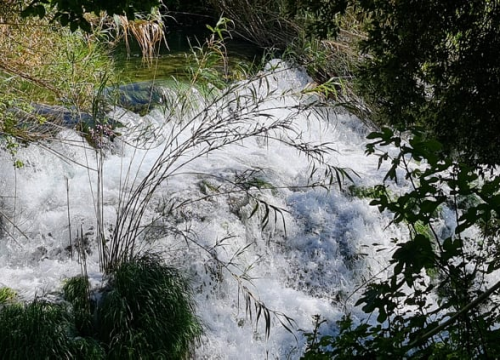 Fotografija 4 - Proveli smo Majčin dan na Skradinskom buku uz ljepote Majke prirode