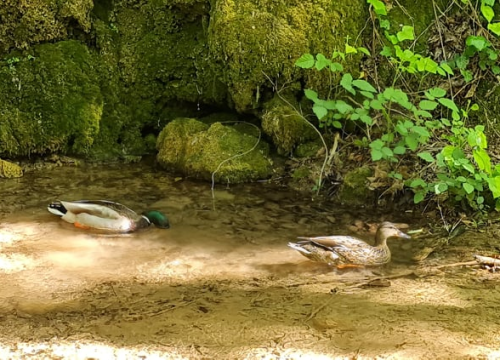 Fotografija 5 - Proveli smo Majčin dan na Skradinskom buku uz ljepote Majke prirode