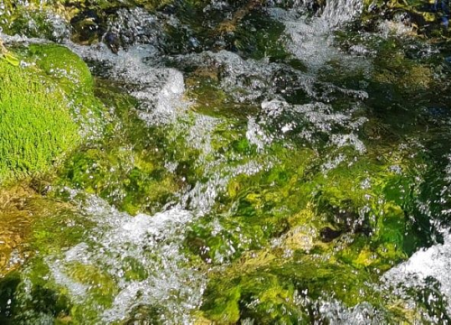 Fotografija 17 - Proveli smo Majčin dan na Skradinskom buku uz ljepote Majke prirode