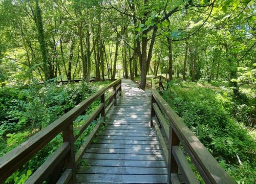 Fotografija 21 - Proveli smo Majčin dan na Skradinskom buku uz ljepote Majke prirode