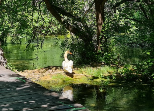 Fotografija 22 - Proveli smo Majčin dan na Skradinskom buku uz ljepote Majke prirode
