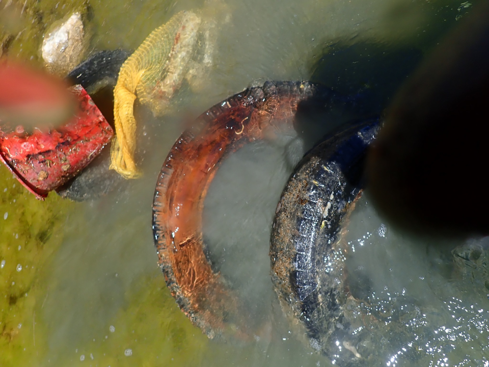 Ronioci objavili što su sve zatekli pod morem na Marinskoj: Gume, gume, gume... i jedan krov!