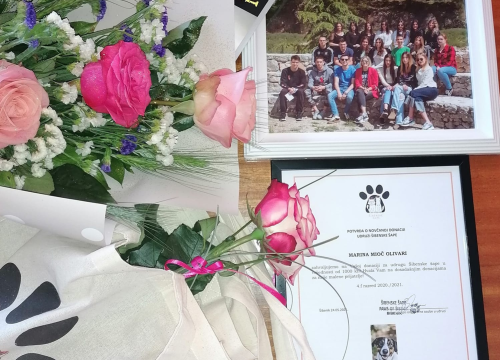 Fotografija 3 - Šibenski gimnazijalci iz 4.f umjesto poklona razrednici donirali tisuću kuna Šibenskim šapama!