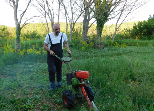 Fotografija 4 - Tko je zapravo Marko Jelić? Obiteljski čovjek, znanstvenik, vinogradar i zaljubljenik u svoj kraj…