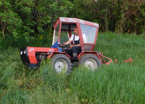 Fotografija 7 - Tko je zapravo Marko Jelić? Obiteljski čovjek, znanstvenik, vinogradar i zaljubljenik u svoj kraj…