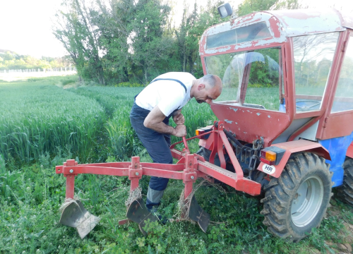 Fotografija 8 - Tko je zapravo Marko Jelić? Obiteljski čovjek, znanstvenik, vinogradar i zaljubljenik u svoj kraj…