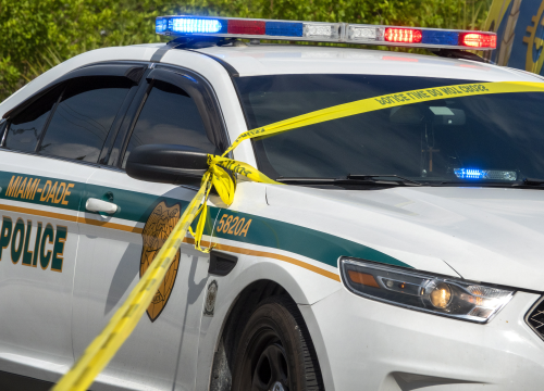 Dječak i djevojčica s Floride kalašnjikovom zapucali na policiju