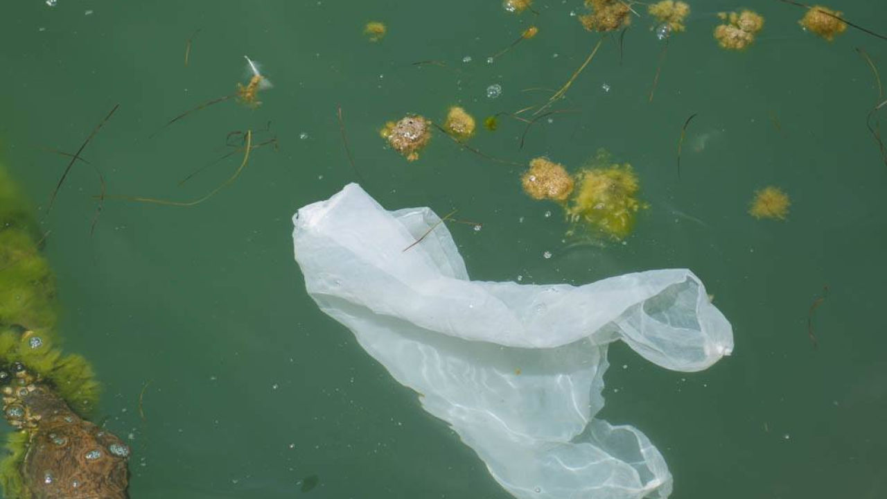 Većina plastike u morima pluta blizu obale