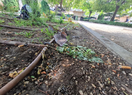 Fotografija 6 - Pripazite na cvijeće: Nakon samo jedne večeri zabave u đardinu,  nedavno posađene biljke već su izgažene
