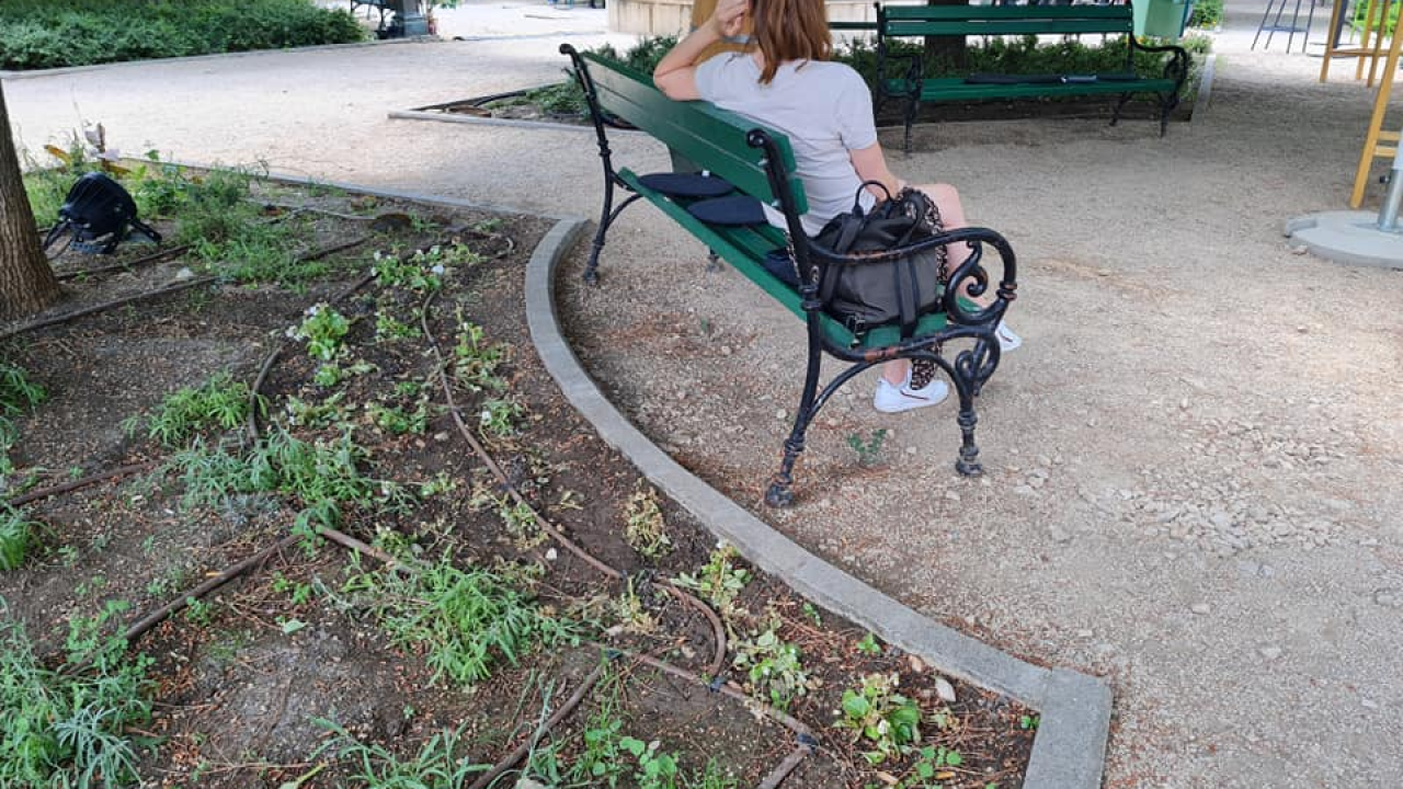 Pripazite na cvijeće: Nakon samo jedne večeri zabave u đardinu,  nedavno posađene biljke već su izgažene