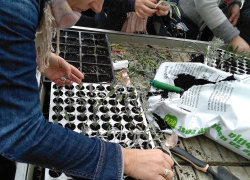 Fotografija 3 - Osladite se ukusnim ribljim delicijama u Fish Delishu u Vodicama!