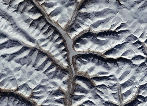 Crv 'oživio' nakon 24 tisuće godina u sibirskom permafrostu pa se aseksualno razmnožio