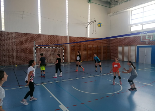 Fotografija 3 - OŠ Meterize u projektu 'Odbojka u školama': Prva aktivnost pokazni trening i deset lopti za poklon
