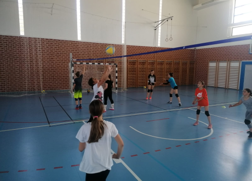 Fotografija 5 - OŠ Meterize u projektu 'Odbojka u školama': Prva aktivnost pokazni trening i deset lopti za poklon