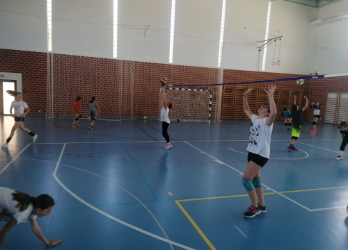 Fotografija 6 - OŠ Meterize u projektu 'Odbojka u školama': Prva aktivnost pokazni trening i deset lopti za poklon