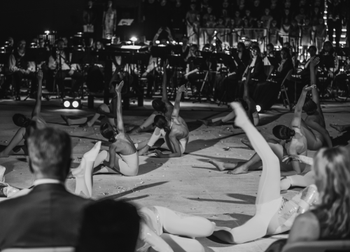 Fotografija 30 - Iz gradske uprave kažu da  je Poljana nakon godinu dana ispunila očekivanja: Slažete li se?