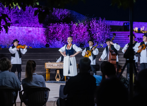 Fotografija 28 - Lado i šibenska publika se vole: Sinoć su ponovno oduševili na tvrđavi Barone