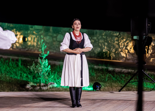 Fotografija 36 - Lado i šibenska publika se vole: Sinoć su ponovno oduševili na tvrđavi Barone