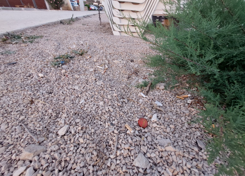 Fotografija 4 - Bez pretjerivanja, Rezalište izgleda odvratno. Kako itko može raširiti šugaman po ovome?