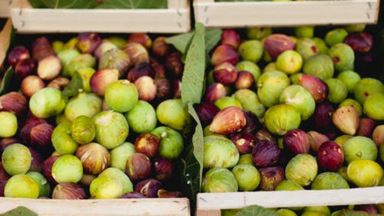 Iskoristite sezonu smokava: Jako fine, snižavaju tlak, čuvaju srce i rade čuda za probavu