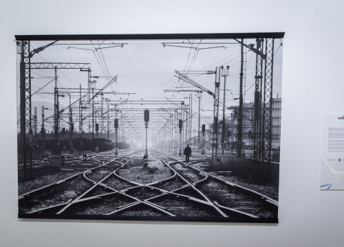 Fotografija 4 - Izložbom fotografija  'On the move' počeo je 9. Fališ: 'Jedna borba, još jedno mjesto'