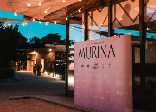 Fotografija 7 - Završile ljetne filmske večeri na Baroneu: Domaći film Murina napunio gledalište do zadnjeg mjesta